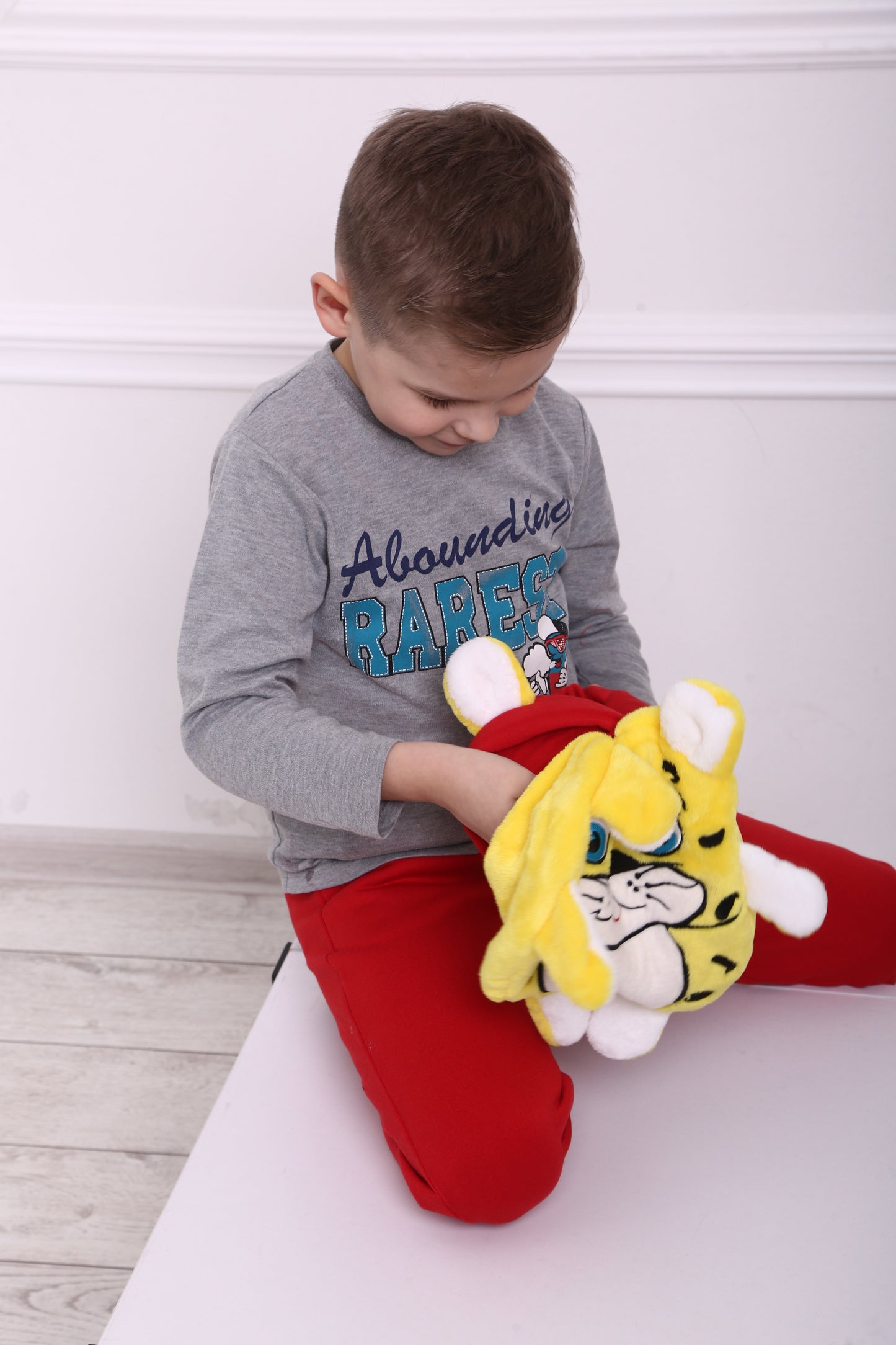 3 in 1 Pullover mit Spielzeug und Reisekissen Löwe
