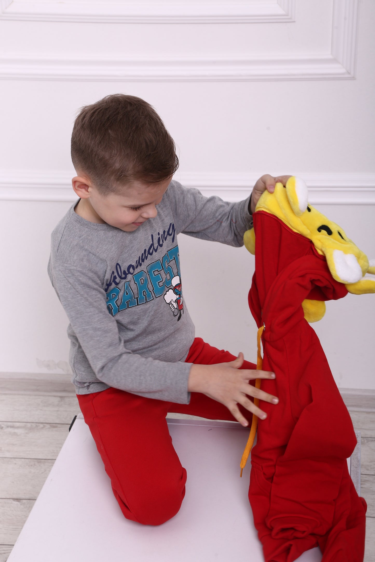 3 in 1 Pullover mit Spielzeug und Reisekissen Löwe