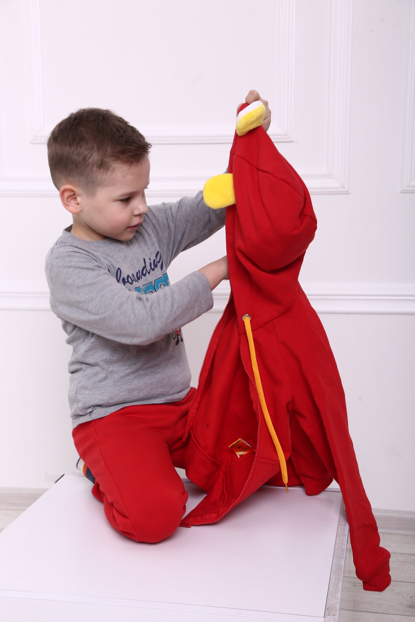 3 in 1 Pullover mit Spielzeug und Reisekissen Löwe