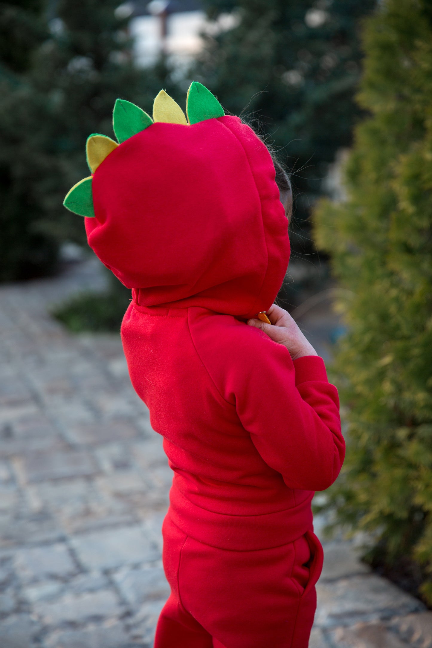 Zabavka Hoodie 3-in-1 – Drache Rot (104–128)