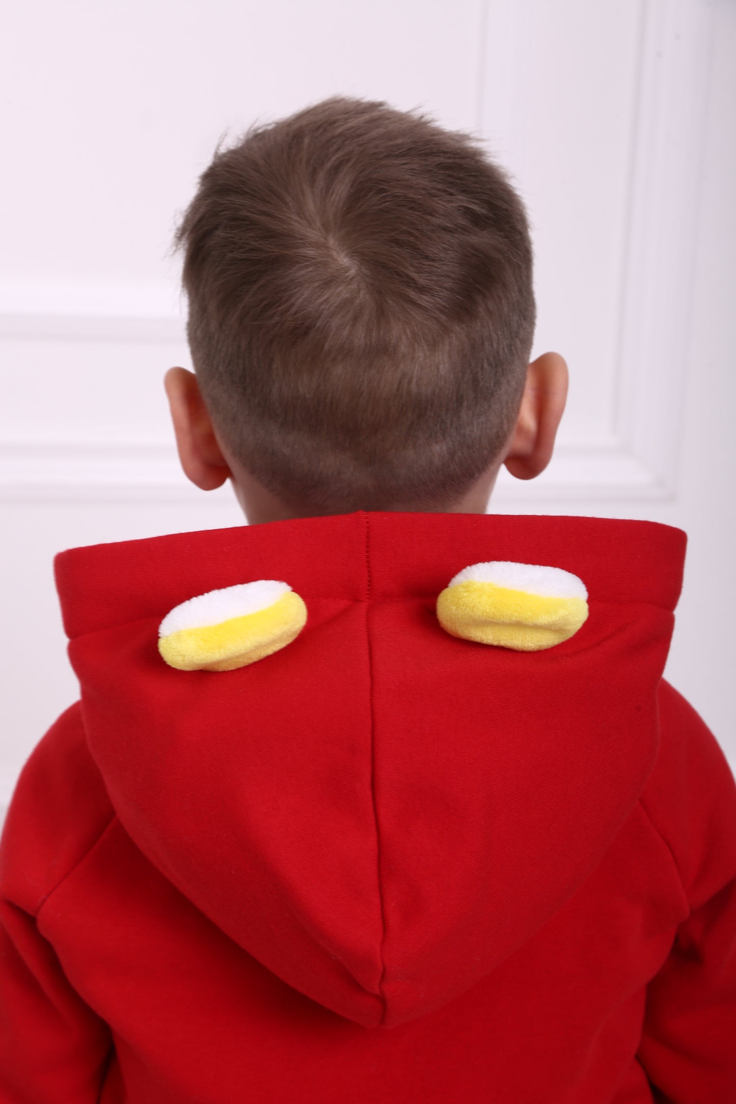 3 in 1 Pullover mit Spielzeug und Reisekissen Löwe