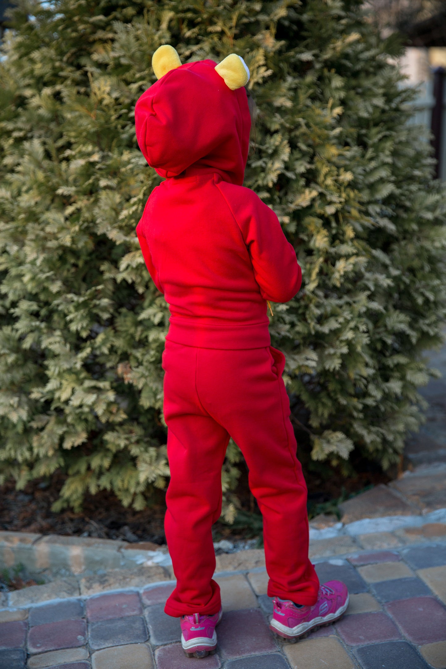 Zabavka Hoodie 3-in-1 – Löwe Rot (104–128)